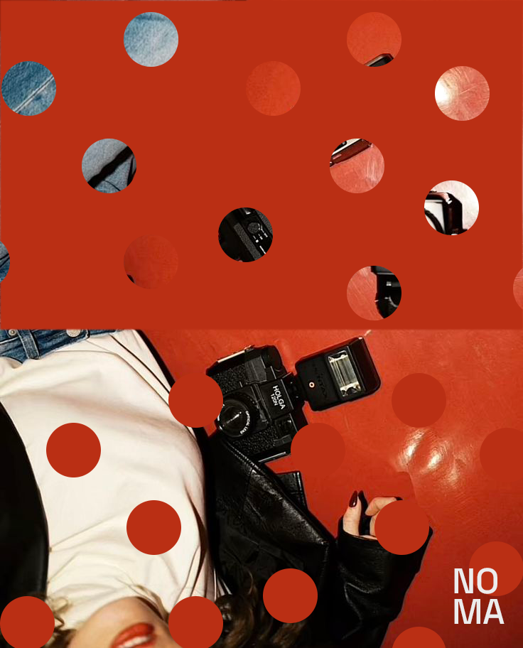 NOMA poster — camera mosaic